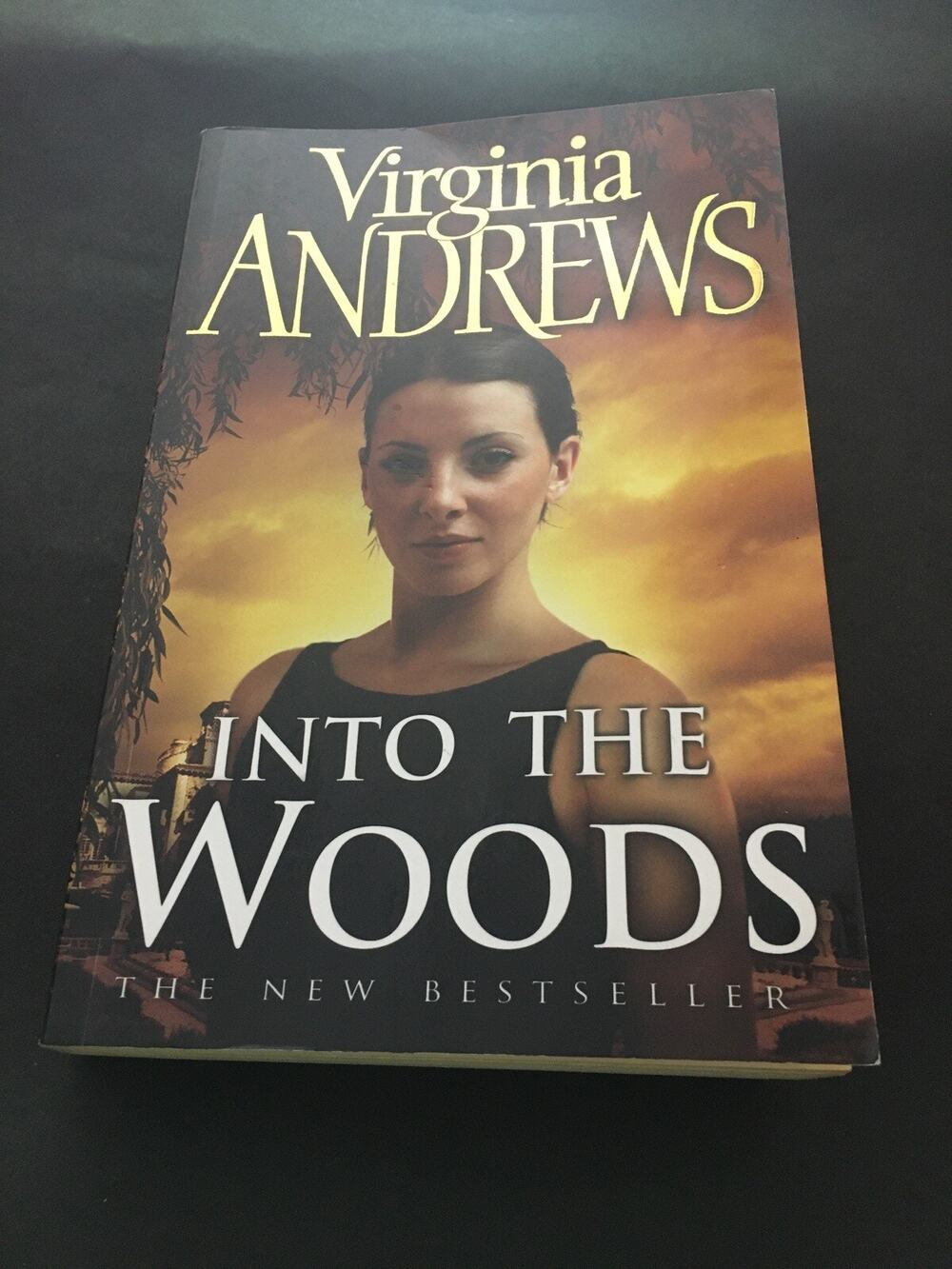 Into The Woods by Virginia V.C. Andrews (The De Beers Family Series) UK 2004